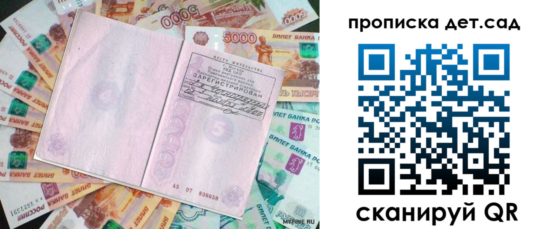 прописка поиск в Сельцо